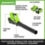 Greenworks Tools 40 V Soffiatore Assiale a Batteria G40AB (Li-Ion 40V 177 km/h, Potente Soffiatore Assiale ad Aria con Controllo