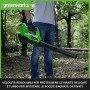Greenworks Tools 40 V Soffiatore Assiale a Batteria G40AB (Li-Ion 40V 177 km/h, Potente Soffiatore Assiale ad Aria con Controllo
